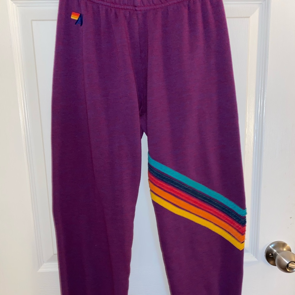 Purple Aviator Nation Sweatpants (used once)